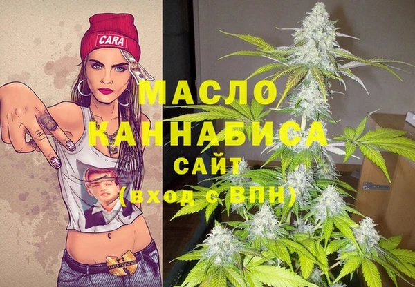 индика Нефтекумск