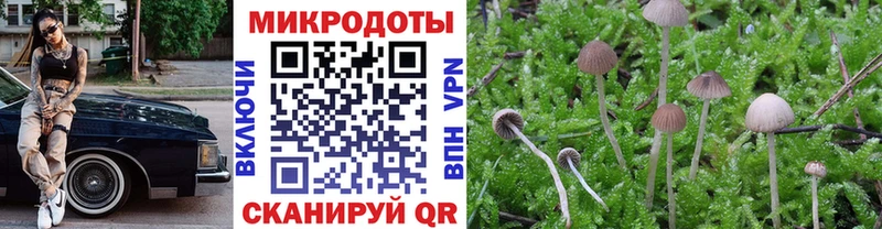 Псилоцибиновые грибы GOLDEN TEACHER  маркетплейс телеграм  Новосиль  цена наркотик  blacksprut ССЫЛКА 